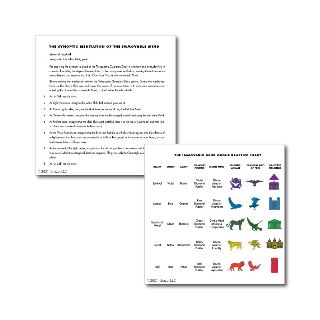 The Immovable Mind Group Practice™ Chart/The Synoptic Meditation of the Immovable Mind