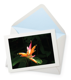 Rising Floral Phoenix Greeting Card - 6½" x 4½"