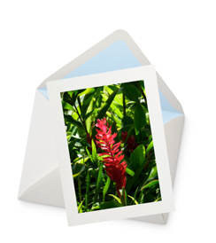Torch of Light Greeting Card - 5½" x 4¼"
