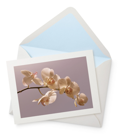 Antique Orchid Greeting Card